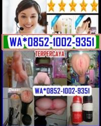 (TERPERCAYA-WA*0852.1002.9351) JUAL ALAT BANTU PRIA WANITA DI PALEMBANG